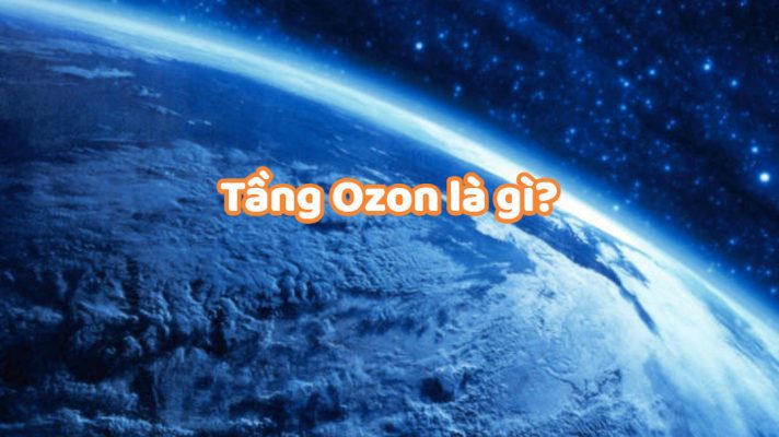 Vai Trò Của Tầng Ozon - 3.1 Tác động tới hệ sinh thái