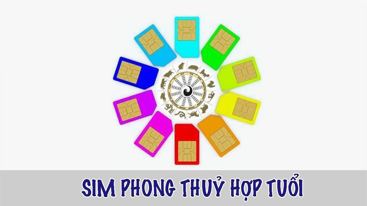 Luận giải sim phong thủy hợp tuổi cần dựa trên nhiều yếu tố khoa học.