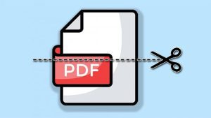 Cắt File PDF: Hướng Dẫn Chi Tiết Từ A-Z Cho Người Dùng Mới