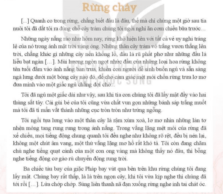 Soạn văn 7 - Lợi ích đối với kỹ năng Ngữ văn Soạn văn 7 - Lợi ích đối với kỹ năng Ngữ văn