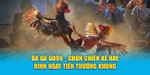 Đá gà GO99 – Sảnh cược kịch tính dành cho tín đồ mê chiến kê