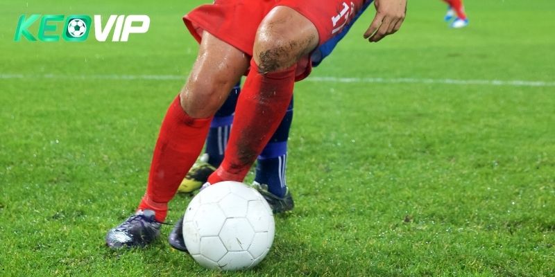 Tìm hiểu tỷ lệ cược và lối chơi trong kèo nhà cái 5